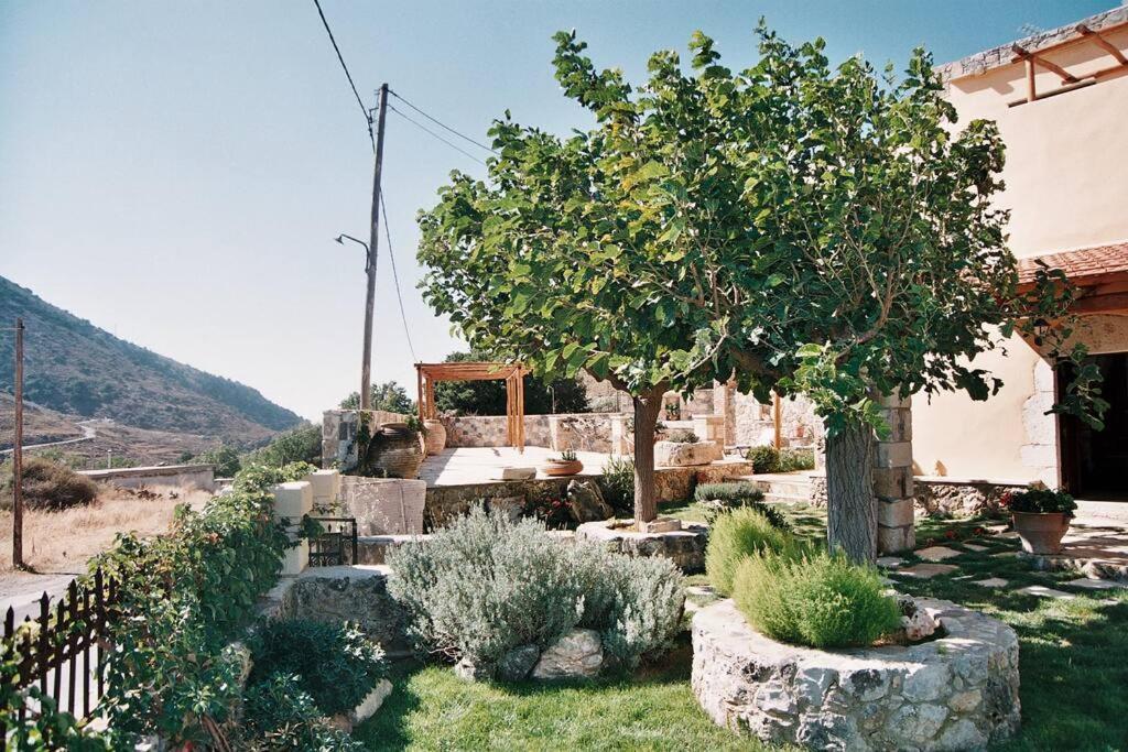 Traditional Villa With Pool In Sfakia Imbros Dış mekan fotoğraf